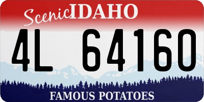 ID license plate 4L6416O