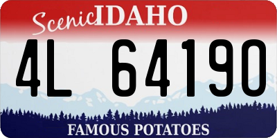 ID license plate 4L6419O