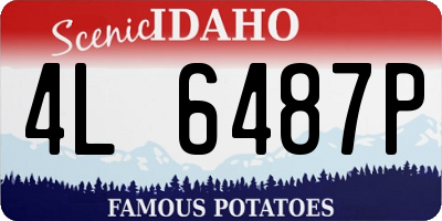 ID license plate 4L6487P