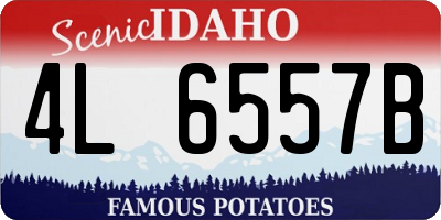 ID license plate 4L6557B