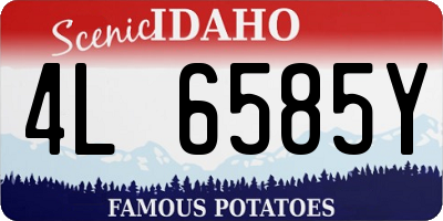 ID license plate 4L6585Y