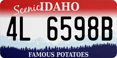ID license plate 4L6598B