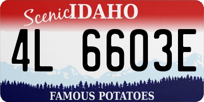 ID license plate 4L6603E