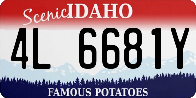 ID license plate 4L6681Y