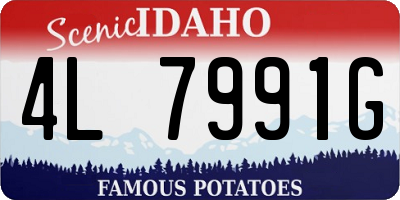 ID license plate 4L7991G