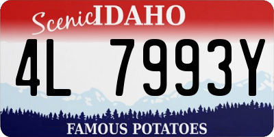 ID license plate 4L7993Y