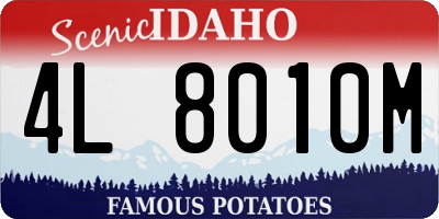 ID license plate 4L8010M