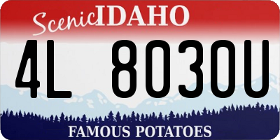 ID license plate 4L8030U