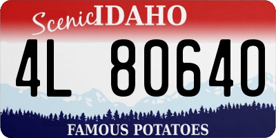 ID license plate 4L8064O