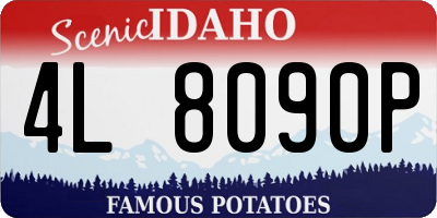 ID license plate 4L8090P