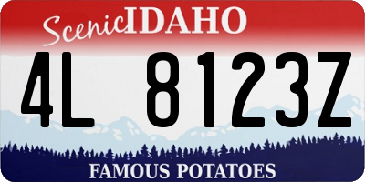 ID license plate 4L8123Z