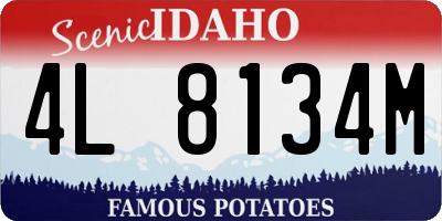 ID license plate 4L8134M