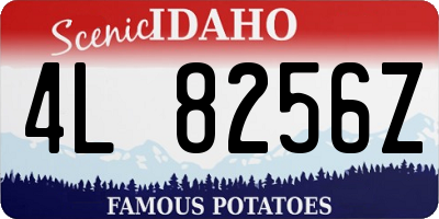 ID license plate 4L8256Z