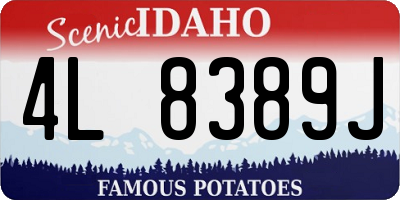 ID license plate 4L8389J