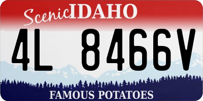 ID license plate 4L8466V