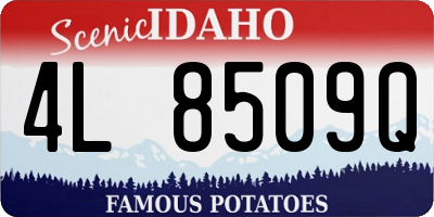 ID license plate 4L8509Q