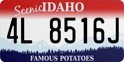 ID license plate 4L8516J