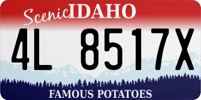 ID license plate 4L8517X