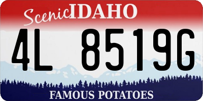 ID license plate 4L8519G