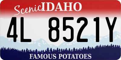 ID license plate 4L8521Y
