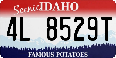 ID license plate 4L8529T