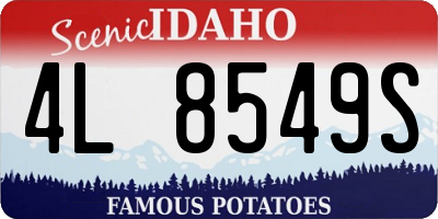 ID license plate 4L8549S