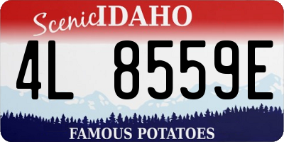 ID license plate 4L8559E
