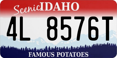 ID license plate 4L8576T