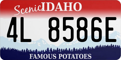 ID license plate 4L8586E