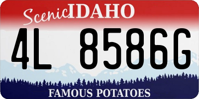 ID license plate 4L8586G