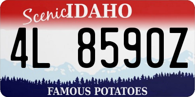 ID license plate 4L8590Z