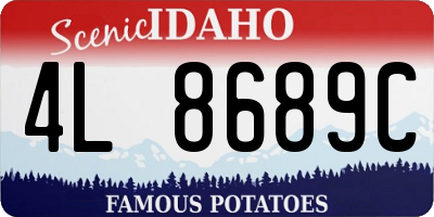 ID license plate 4L8689C