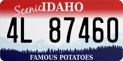 ID license plate 4L8746O