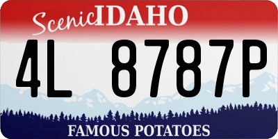 ID license plate 4L8787P
