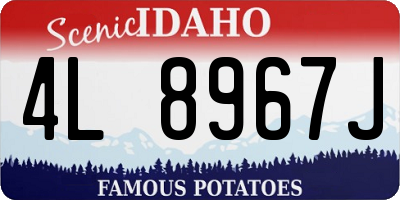 ID license plate 4L8967J
