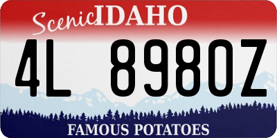 ID license plate 4L8980Z