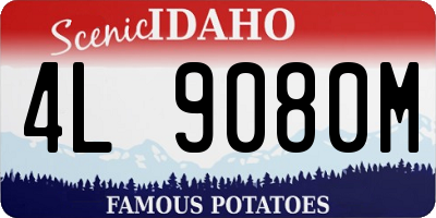 ID license plate 4L9080M