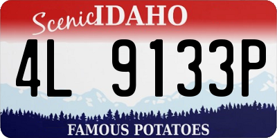 ID license plate 4L9133P