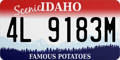 ID license plate 4L9183M