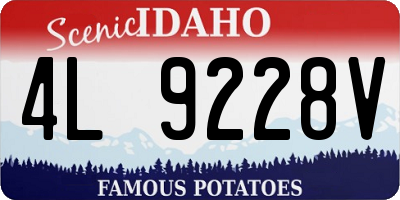 ID license plate 4L9228V