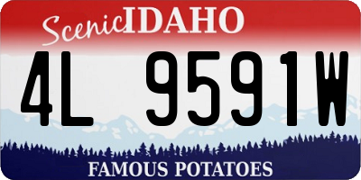 ID license plate 4L9591W