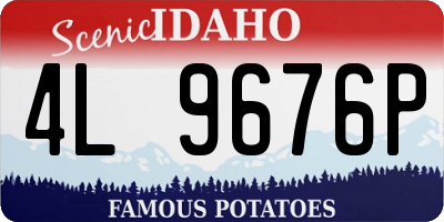 ID license plate 4L9676P