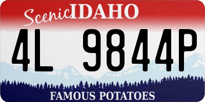 ID license plate 4L9844P