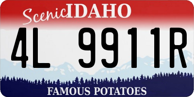 ID license plate 4L9911R