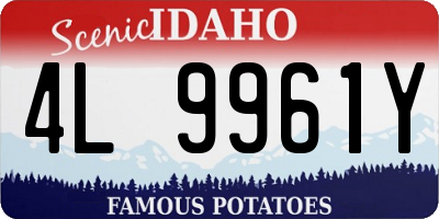 ID license plate 4L9961Y