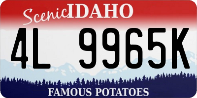 ID license plate 4L9965K