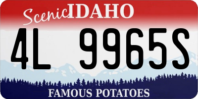 ID license plate 4L9965S