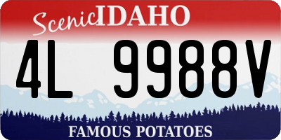 ID license plate 4L9988V