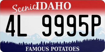 ID license plate 4L9995P