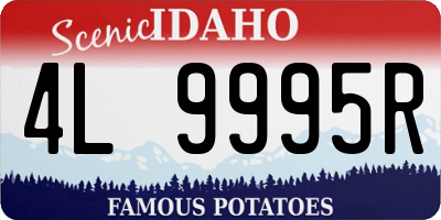 ID license plate 4L9995R